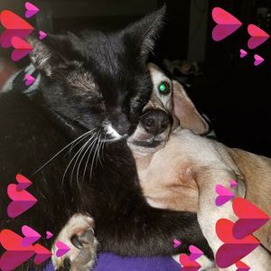 Meet your Posher, Wanda